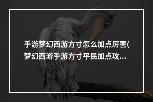 手游梦幻西游方寸怎么加点厉害(梦幻西游手游方寸平民加点攻略方寸平民怎么加点)