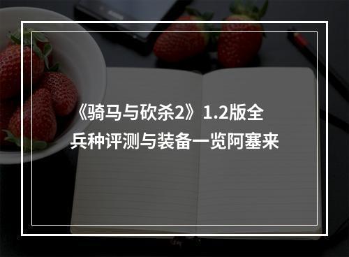 《骑马与砍杀2》1.2版全兵种评测与装备一览阿塞来