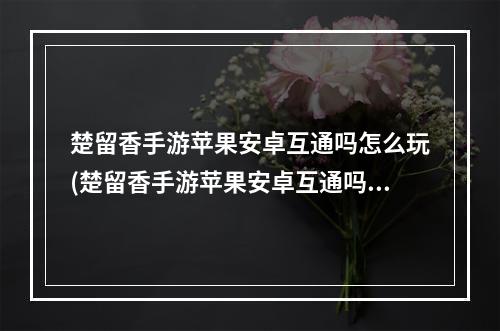 楚留香手游苹果安卓互通吗怎么玩(楚留香手游苹果安卓互通吗)