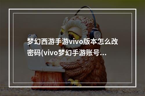 梦幻西游手游vivo版本怎么改密码(vivo梦幻手游账号密码)