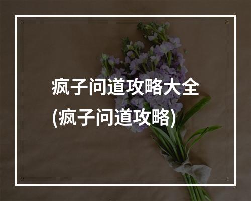 疯子问道攻略大全(疯子问道攻略)