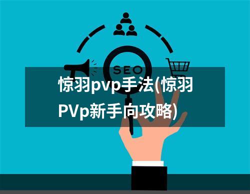 惊羽pvp手法(惊羽PVp新手向攻略)