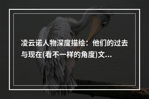 凌云诺人物深度描绘：他们的过去与现在(看不一样的角度)文章