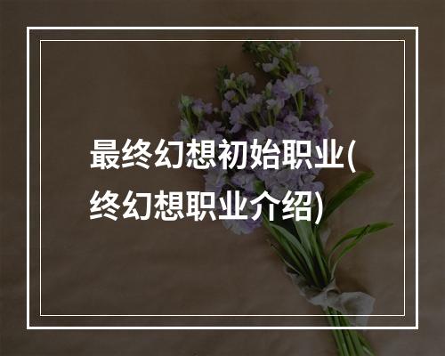 最终幻想初始职业(终幻想职业介绍)