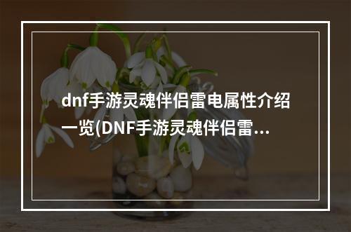 dnf手游灵魂伴侣雷电属性介绍一览(DNF手游灵魂伴侣雷电属性介绍一览 )