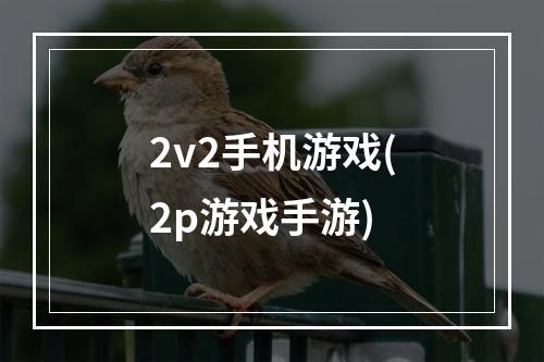 2v2手机游戏(2p游戏手游)