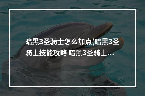 暗黑3圣骑士怎么加点(暗黑3圣骑士技能攻略 暗黑3圣骑士技能怎么选 技能取舍)