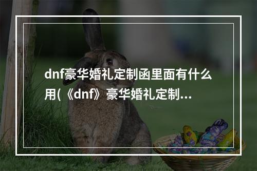 dnf豪华婚礼定制函里面有什么用(《dnf》豪华婚礼定制函里面作用是什么 豪华婚礼定制函里)