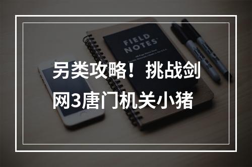 另类攻略！挑战剑网3唐门机关小猪