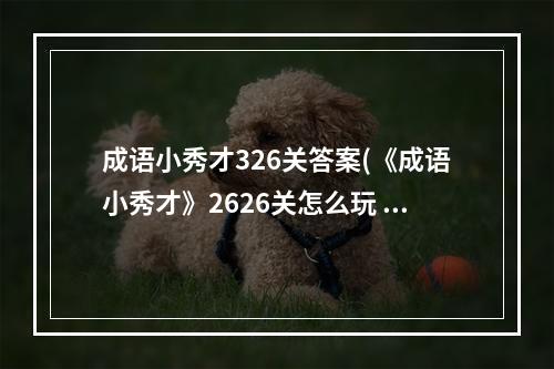 成语小秀才326关答案(《成语小秀才》2626关怎么玩 2626关玩法技巧 )