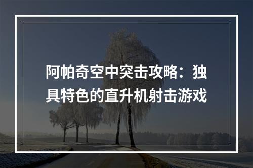 阿帕奇空中突击攻略：独具特色的直升机射击游戏