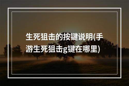 生死狙击的按键说明(手游生死狙击g键在哪里)