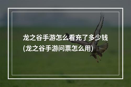 龙之谷手游怎么看充了多少钱(龙之谷手游问票怎么用)