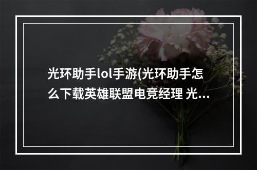 光环助手lol手游(光环助手怎么下载英雄联盟电竞经理 光环助手下载英雄)