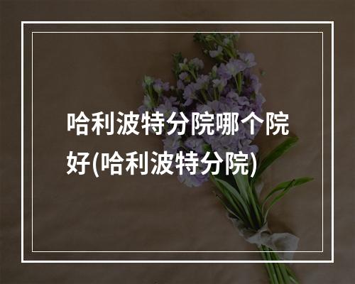 哈利波特分院哪个院好(哈利波特分院)