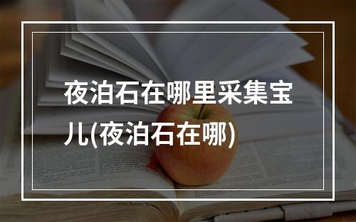 夜泊石在哪里采集宝儿(夜泊石在哪)