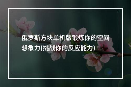 俄罗斯方块单机版锻炼你的空间想象力(挑战你的反应能力)