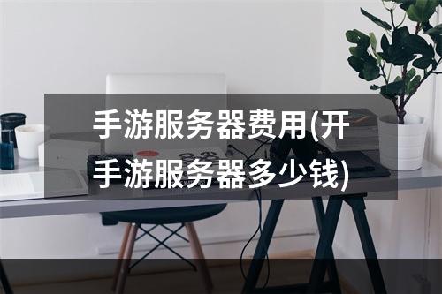 手游服务器费用(开手游服务器多少钱)