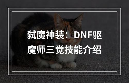 弑魔神装：DNF驱魔师三觉技能介绍