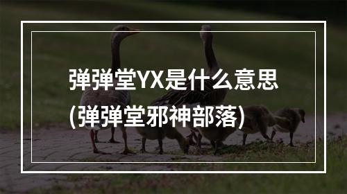 弹弹堂YX是什么意思(弹弹堂邪神部落)