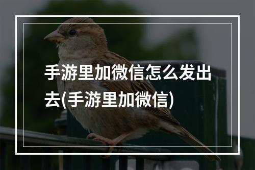 手游里加微信怎么发出去(手游里加微信)