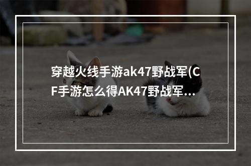 穿越火线手游ak47野战军(CF手游怎么得AK47野战军)