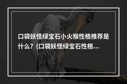 口袋妖怪绿宝石小火猴性格推荐是什么？(口袋妖怪绿宝石性格)