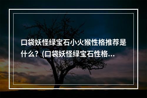 口袋妖怪绿宝石小火猴性格推荐是什么？(口袋妖怪绿宝石性格)