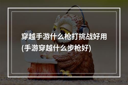 穿越手游什么枪打挑战好用(手游穿越什么步枪好)