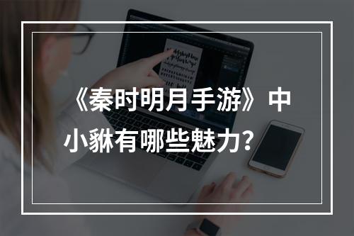 《秦时明月手游》中小貅有哪些魅力？