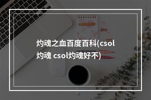 灼魂之血百度百科(csol灼魂 csol灼魂好不)