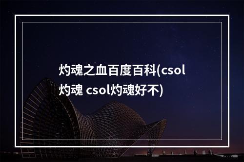 灼魂之血百度百科(csol灼魂 csol灼魂好不)