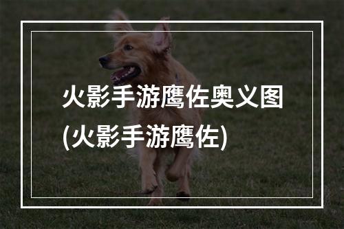 火影手游鹰佐奥义图(火影手游鹰佐)