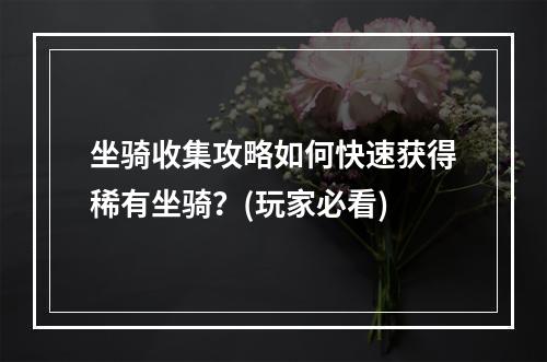 坐骑收集攻略如何快速获得稀有坐骑？(玩家必看)