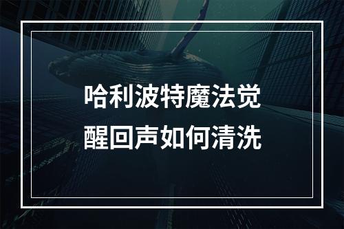 哈利波特魔法觉醒回声如何清洗