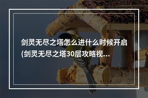 剑灵无尽之塔怎么进什么时候开启(剑灵无尽之塔30层攻略视频)