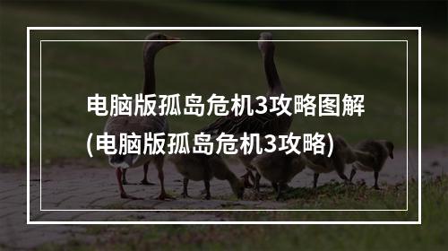 电脑版孤岛危机3攻略图解(电脑版孤岛危机3攻略)