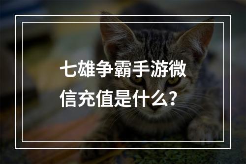 七雄争霸手游微信充值是什么？