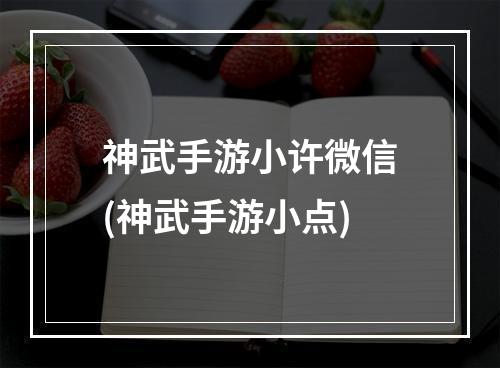 神武手游小许微信(神武手游小点)