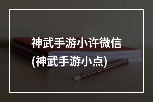 神武手游小许微信(神武手游小点)