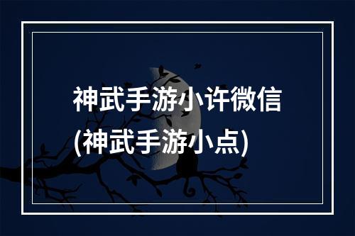 神武手游小许微信(神武手游小点)