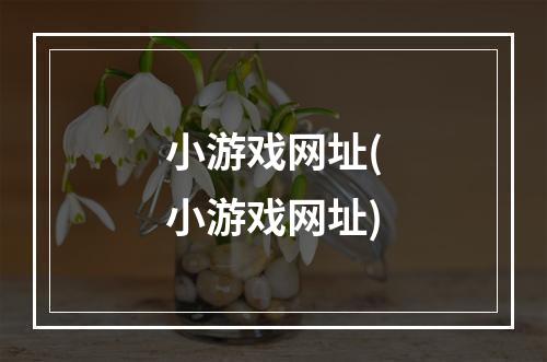 小游戏网址(小游戏网址)