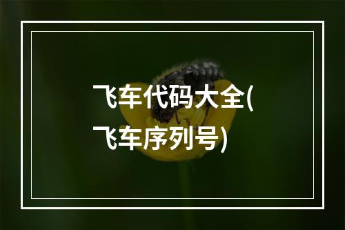 飞车代码大全(飞车序列号)