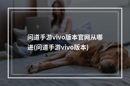 问道手游vivo版本官网从哪进(问道手游vivo版本)