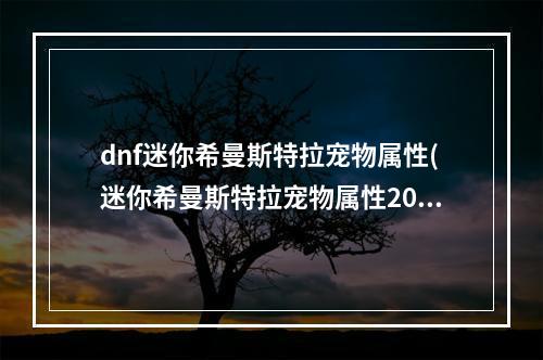 dnf迷你希曼斯特拉宠物属性(迷你希曼斯特拉宠物属性2022 )