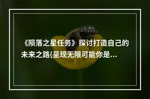 《陨落之星任务》探讨打造自己的未来之路(呈现无限可能你是游戏主角)