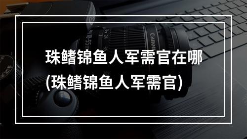 珠鳍锦鱼人军需官在哪(珠鳍锦鱼人军需官)