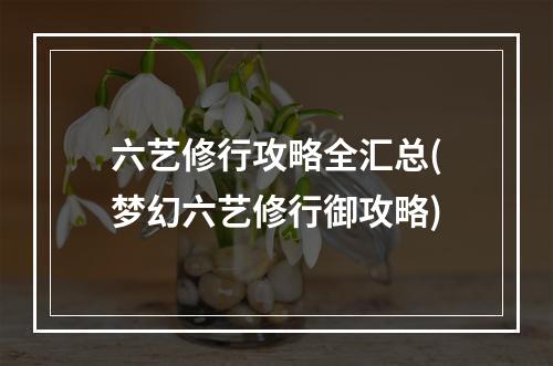 六艺修行攻略全汇总(梦幻六艺修行御攻略)