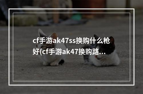 cf手游ak47ss换购什么枪好(cf手游ak47换购路线)