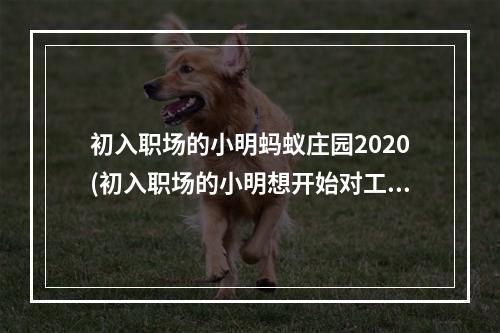 初入职场的小明蚂蚁庄园2020(初入职场的小明想开始对工资理财下列哪种方式更适合他)